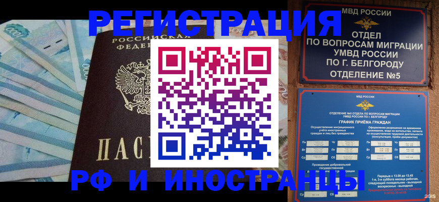 временная регистрация недорого в Ленинградской области